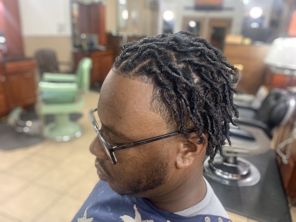 Image 1 of Starter Locs or Loc Installation**