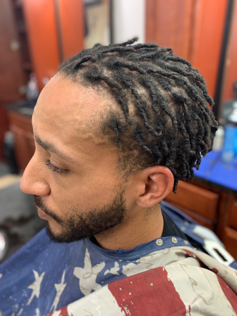 Image 2 of Starter Locs or Loc Installation**
